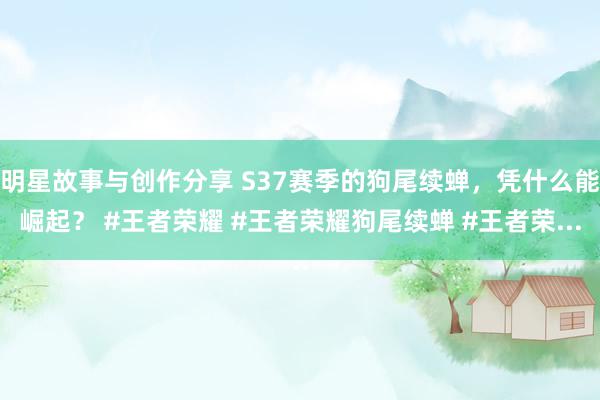 明星故事与创作分享 S37赛季的狗尾续蝉，凭什么能崛起？ #王者荣耀 #王者荣耀狗尾续蝉 #王者荣...