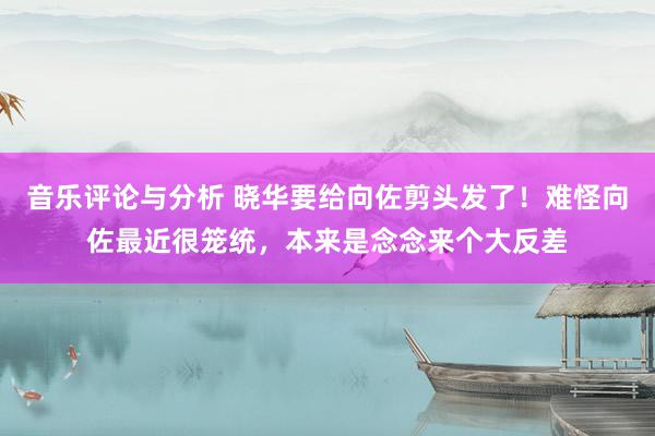 音乐评论与分析 晓华要给向佐剪头发了！难怪向佐最近很笼统，本来是念念来个大反差