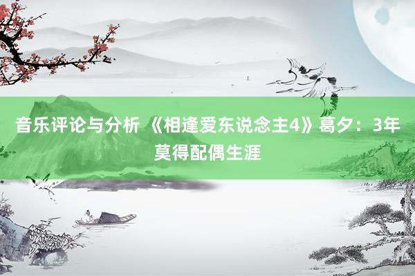 音乐评论与分析 《相逢爱东说念主4》葛夕：3年莫得配偶生涯