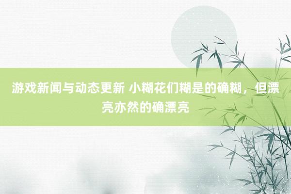 游戏新闻与动态更新 小糊花们糊是的确糊，但漂亮亦然的确漂亮