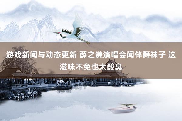 游戏新闻与动态更新 薛之谦演唱会闻伴舞袜子 这滋味不免也太酸臭